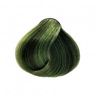 Vopsea permanenta Hair Passion Citrus Hair Coloring cream 7.777 Citrus Verde 100ml