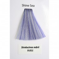 Vopsea Metallum Shine Sea 9.011, 60ml