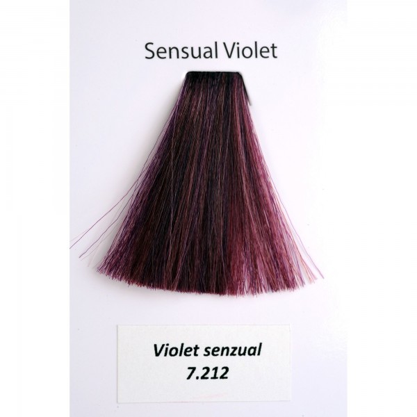 Vopsea Metallum Sensual Violet 7.212, 60ml