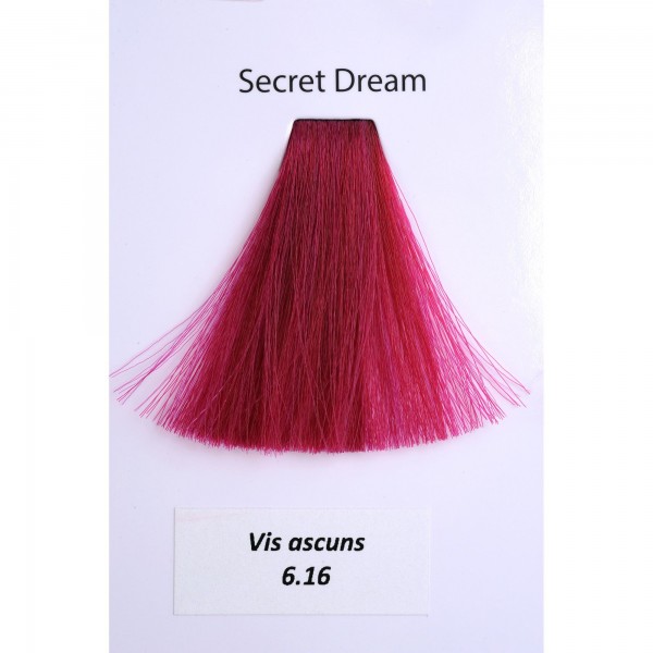 Vopsea Metallum Secret Dream 6.16, 60ml